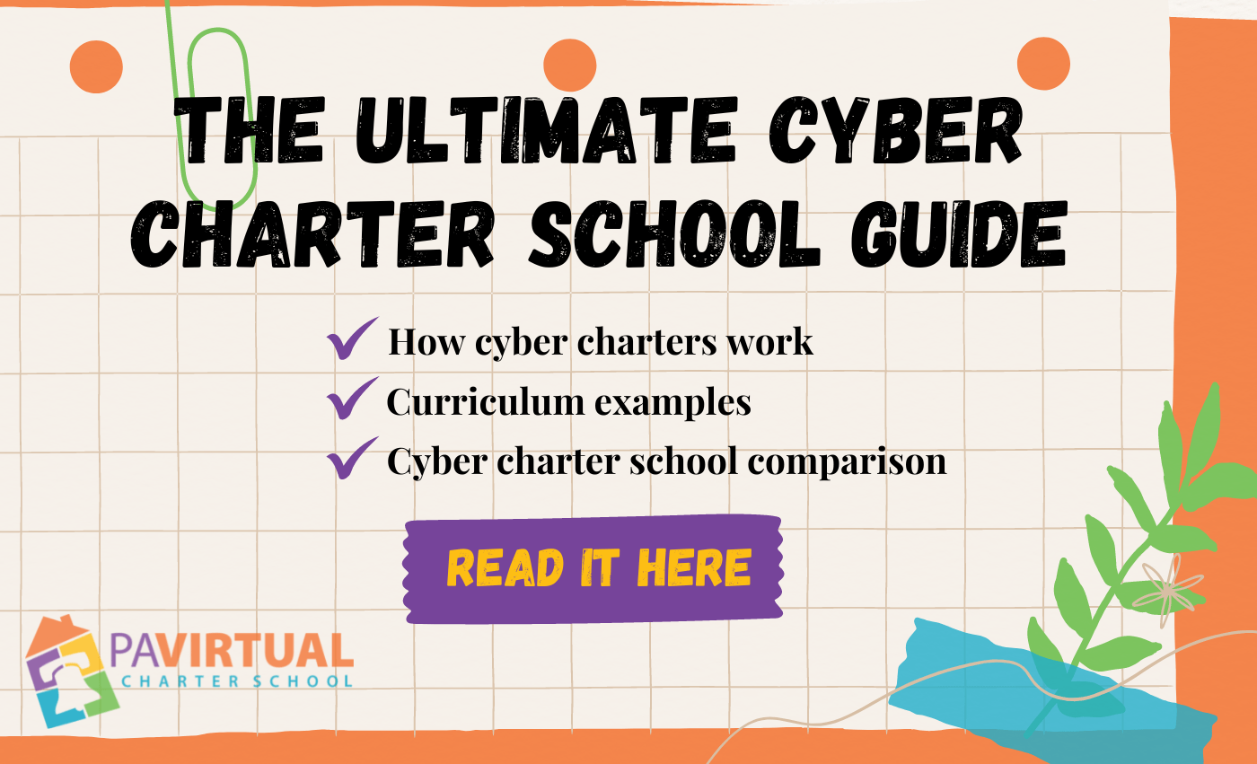 How to Choose Between Cyber Schooling and Homeschooling